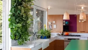 How Can You Make Your Kitchen More Eco-Friendly